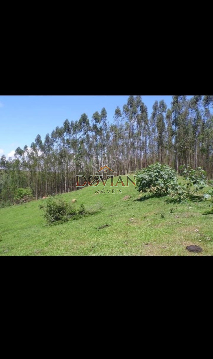 Fazenda, 2 hectares - Foto 17