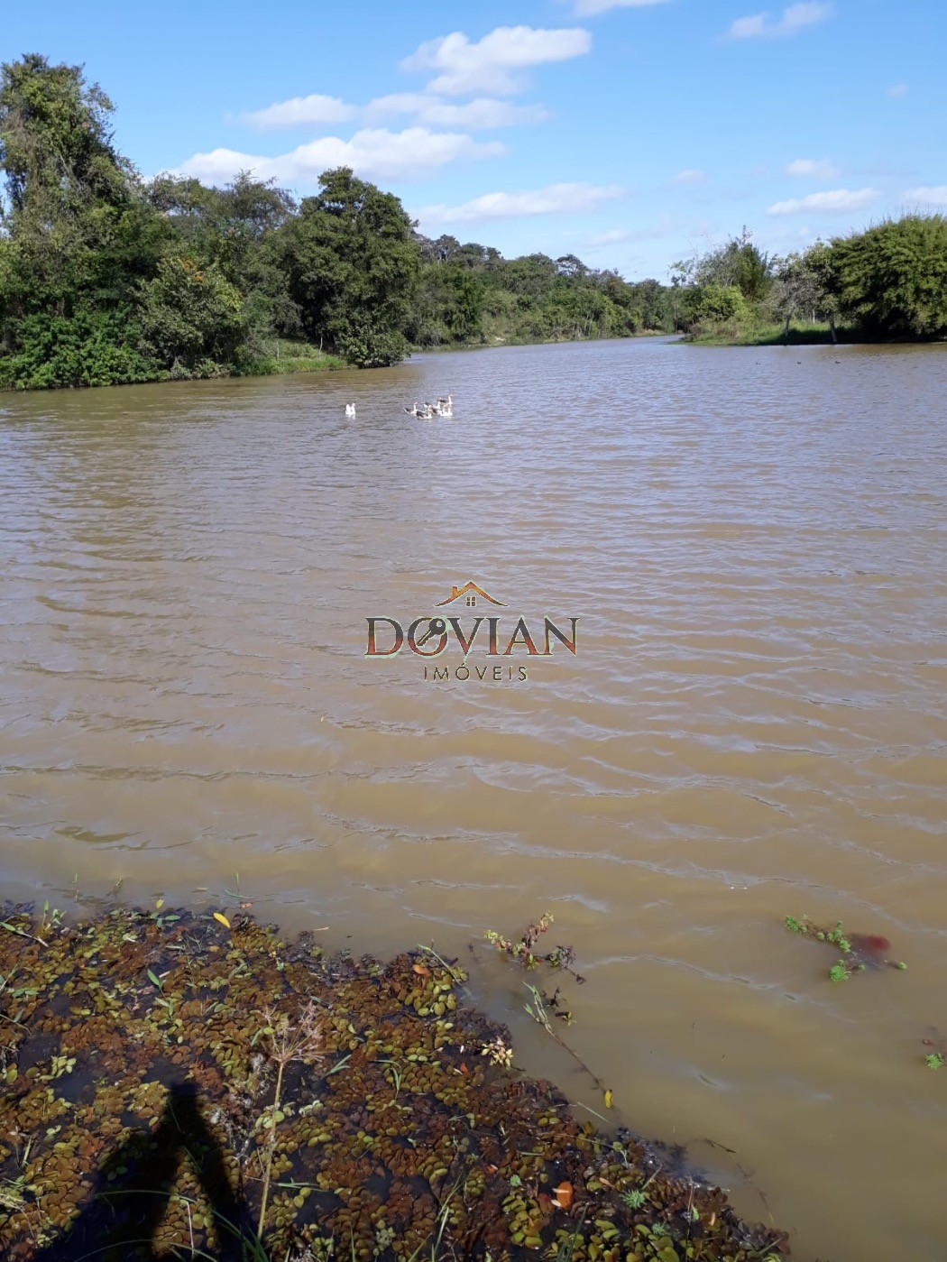 Fazenda, 2 hectares - Foto 8
