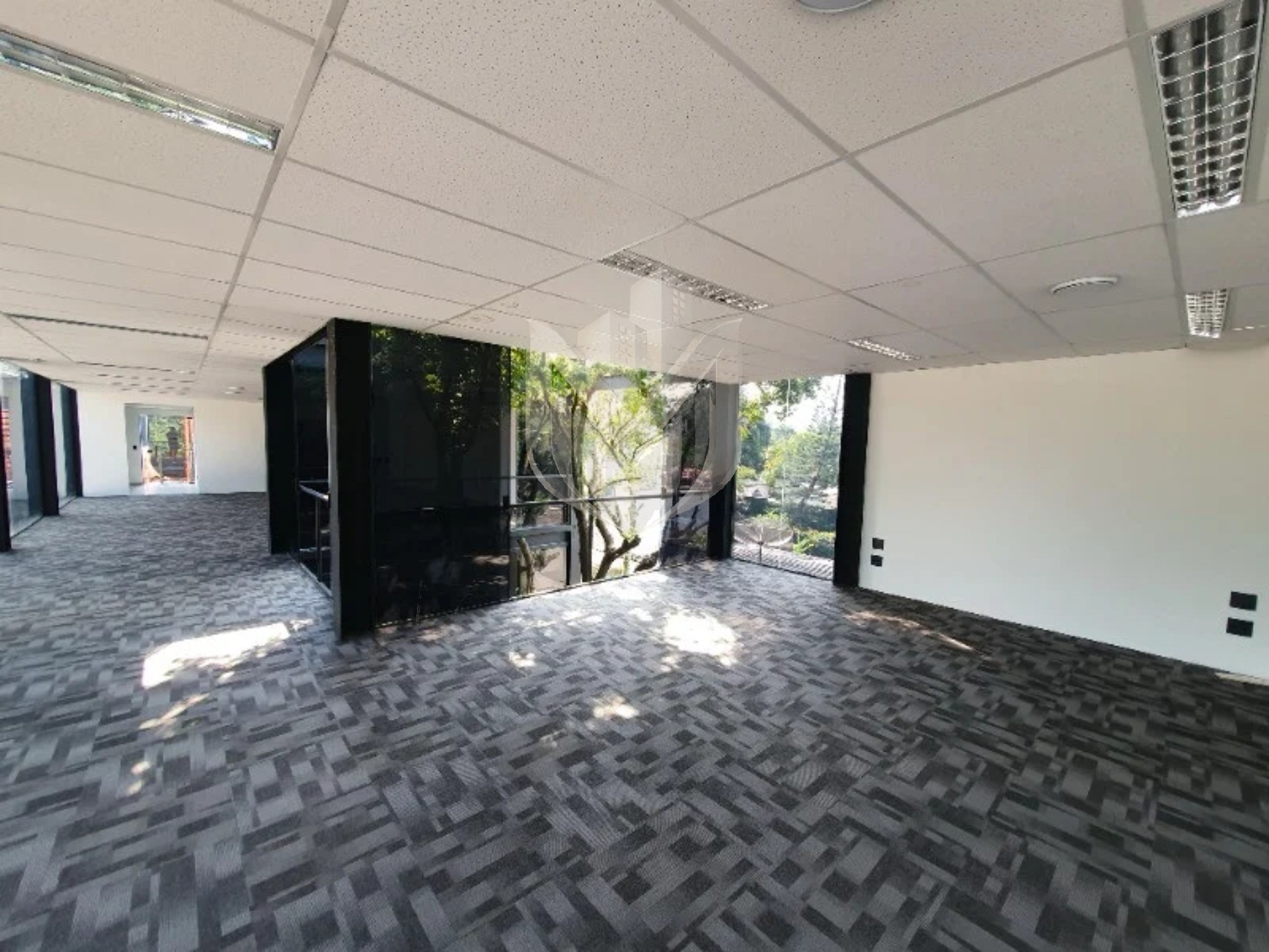 Loja-Salão, 725 m² - Foto 4