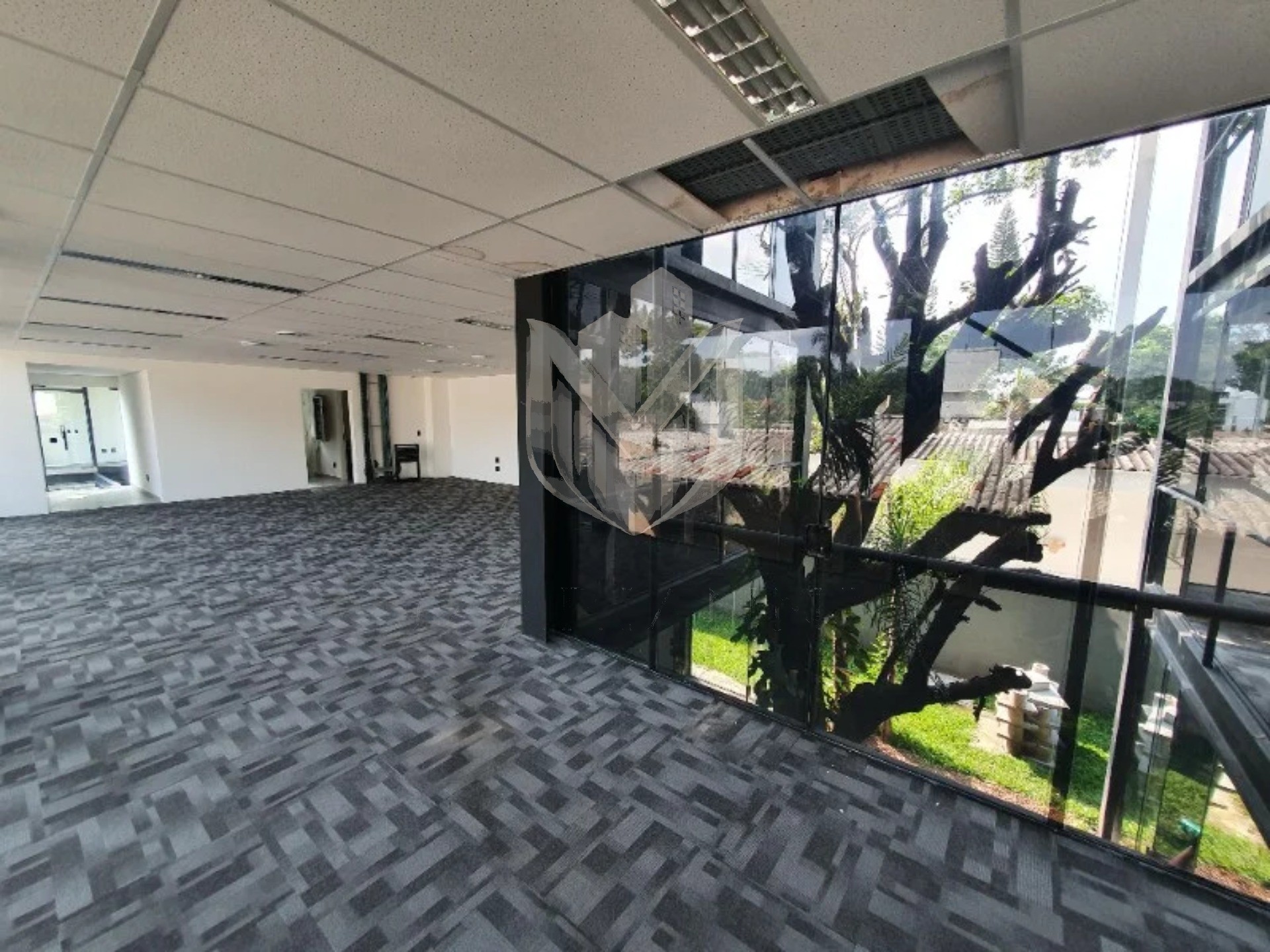 Loja-Salão, 725 m² - Foto 7