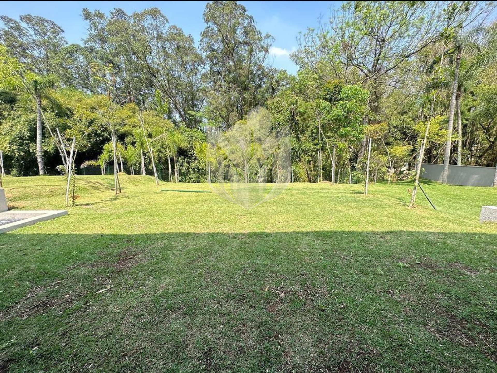 Casa, 4 quartos, 828 m² - Foto 3