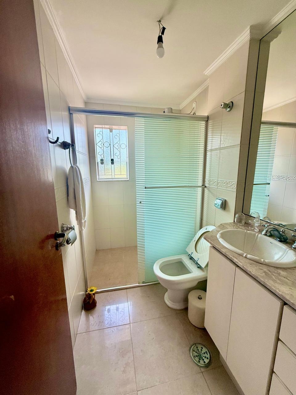 Casa, 4 quartos, 250 m² - Foto 17