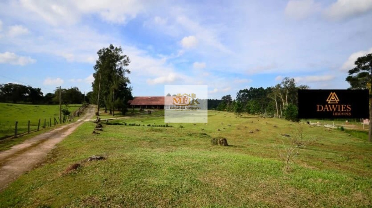 Chácara, 4 quartos, 3 hectares - Foto 26