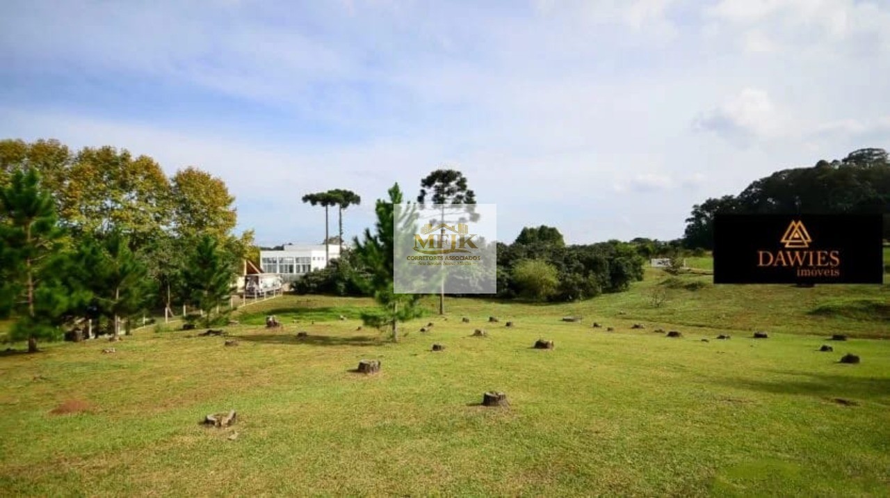 Chácara, 4 quartos, 3 hectares - Foto 27