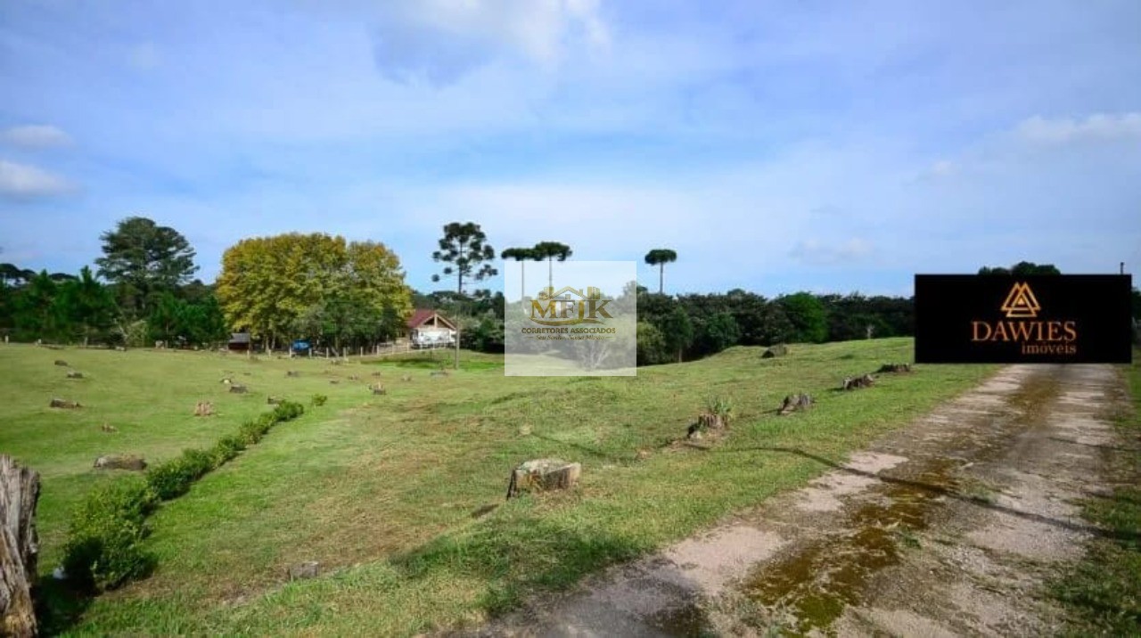 Chácara, 4 quartos, 3 hectares - Foto 29
