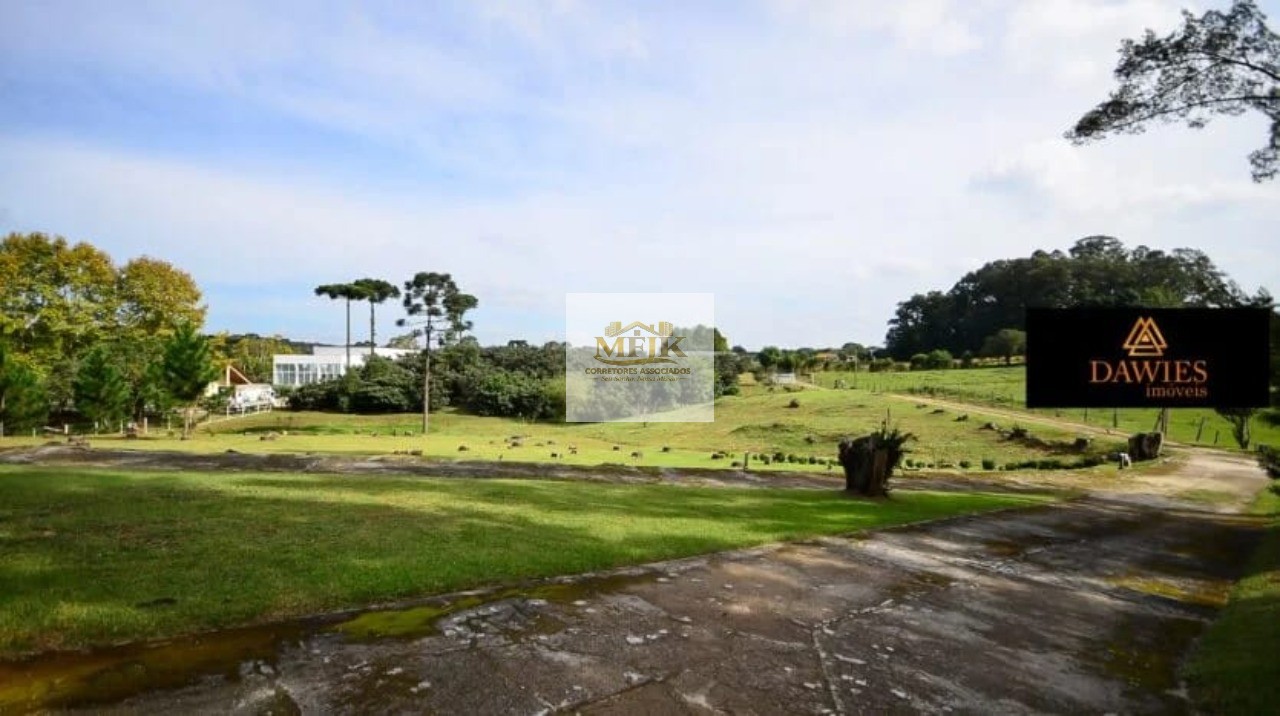 Chácara, 4 quartos, 3 hectares - Foto 28