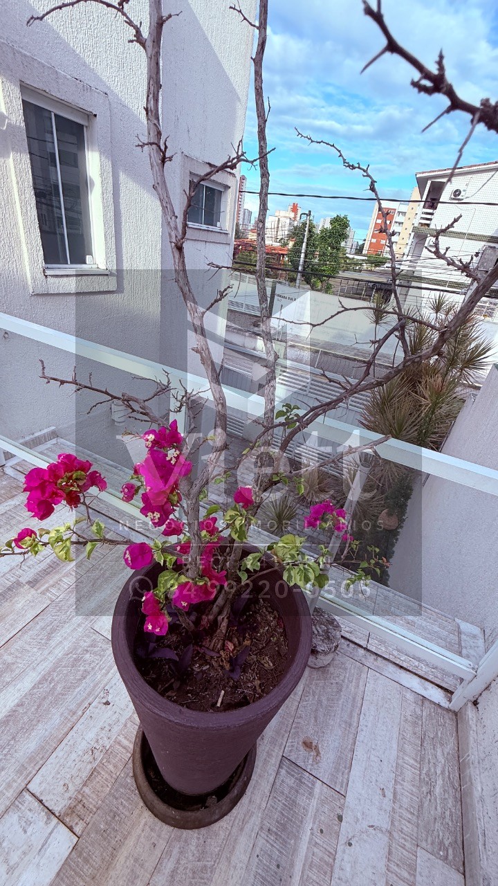 Casa, 4 quartos, 267 m² - Foto 18