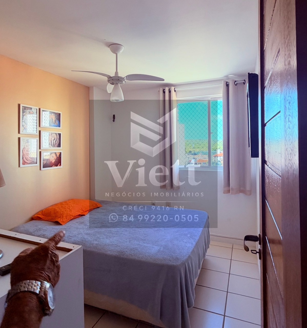 Apartamento, 3 quartos, 75 m² - Foto 12