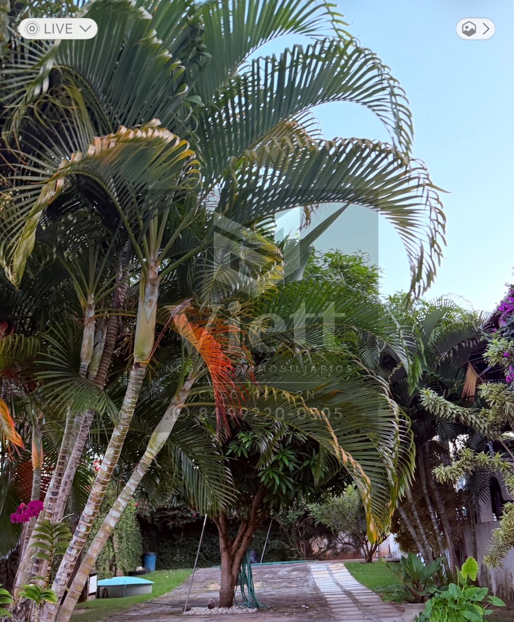 Casa, 6 quartos, 960 m² - Foto 12