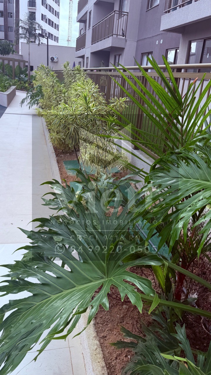 Apartamento, 2 quartos, 59 m² - Foto 25