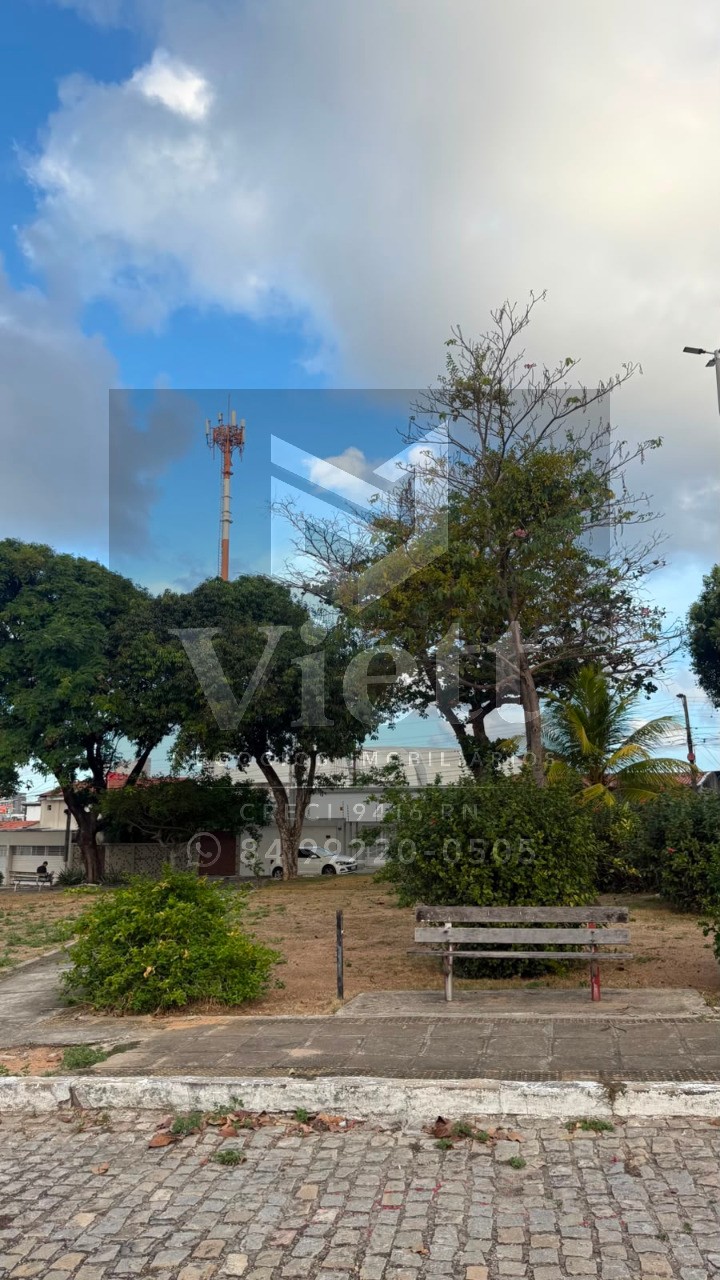 Casa, 3 quartos, 240 m² - Foto 14
