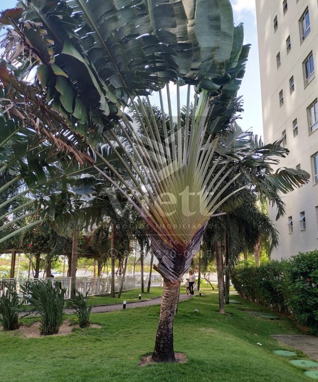 Apartamento, 3 quartos, 92 m² - Foto 11