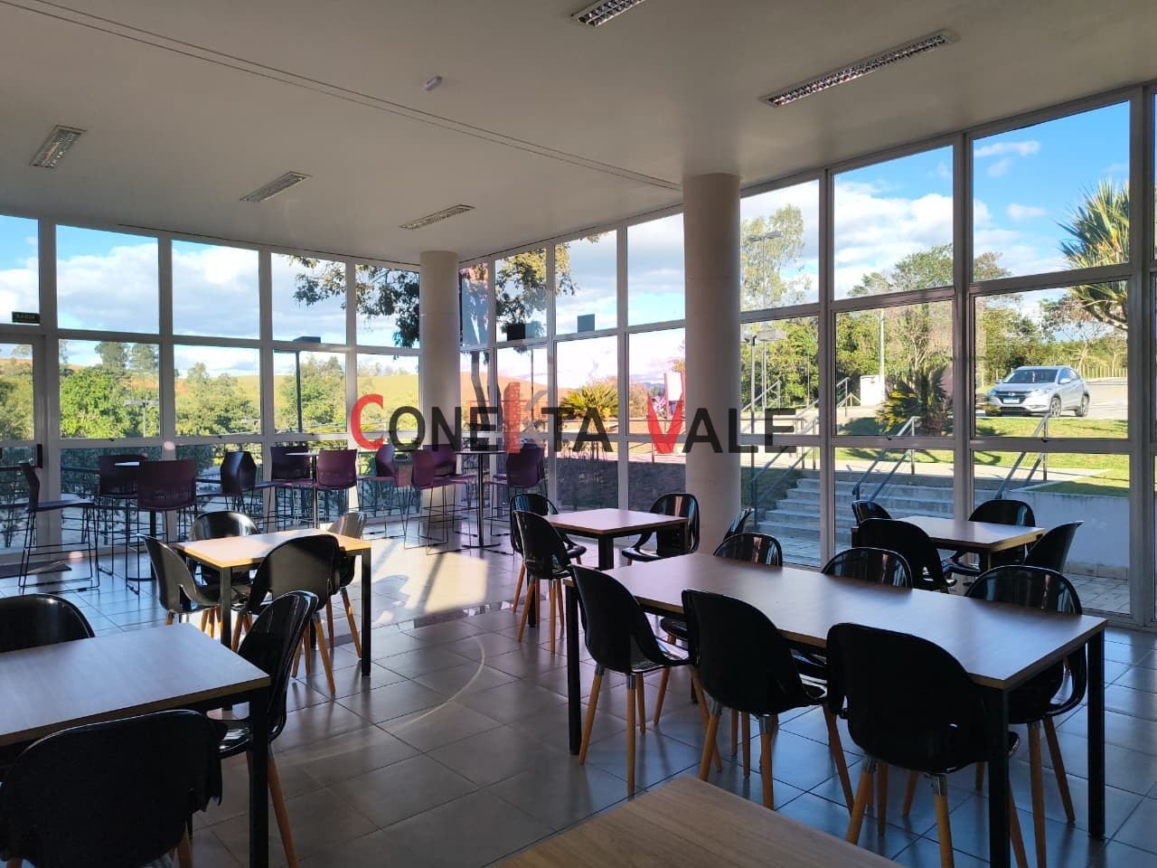 Casa, 5 quartos, 239 m² - Foto 33