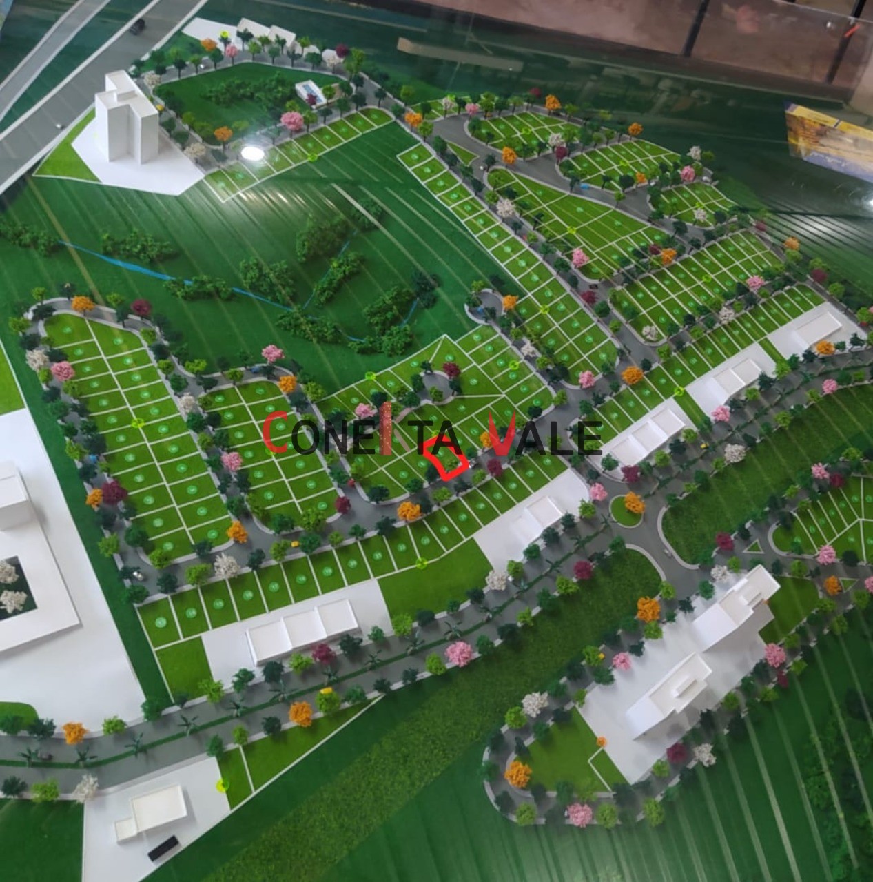 Terreno, 250 m² - Foto 6