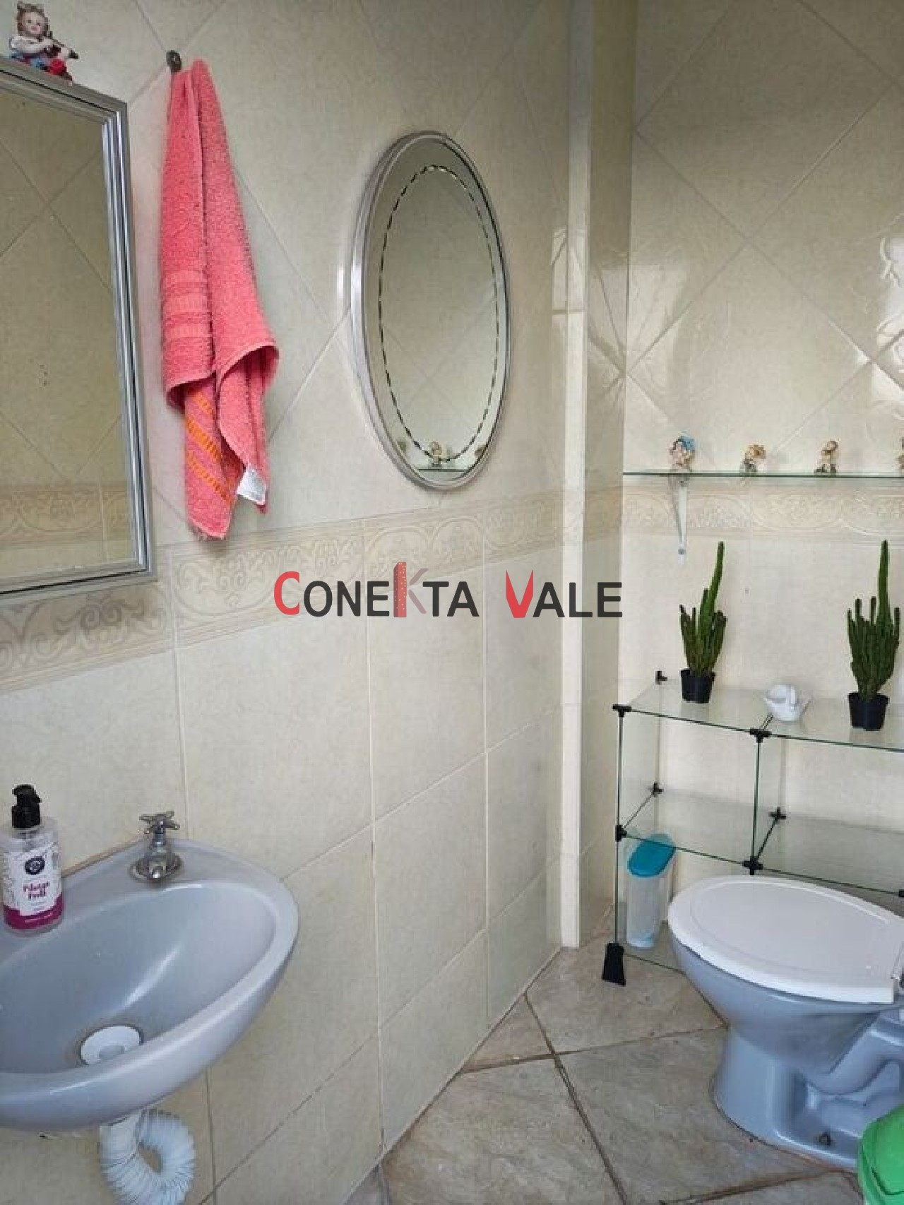 Casa, 4 quartos, 320 m² - Foto 16