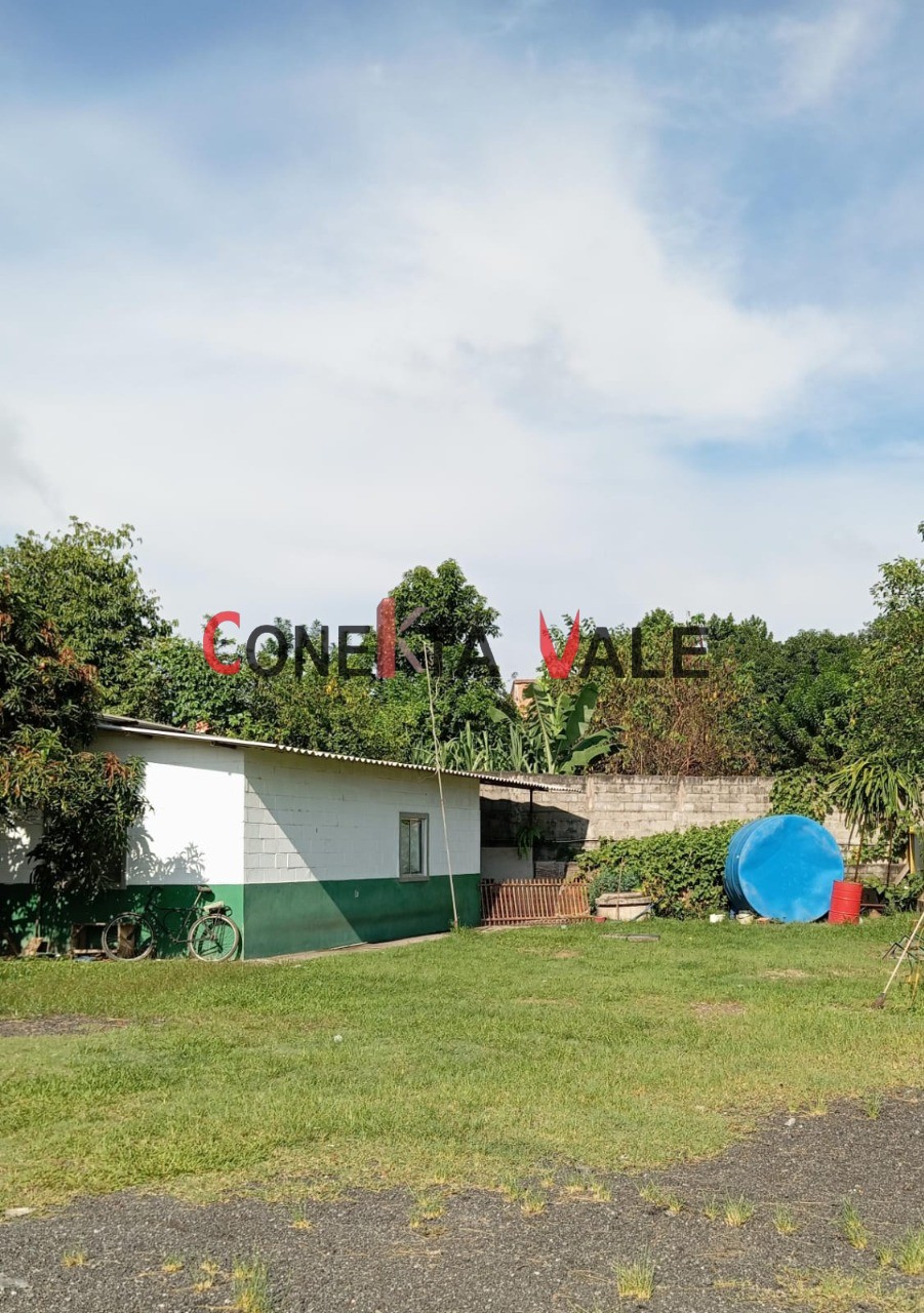 Depósito-Galpão, 2500 m² - Foto 4