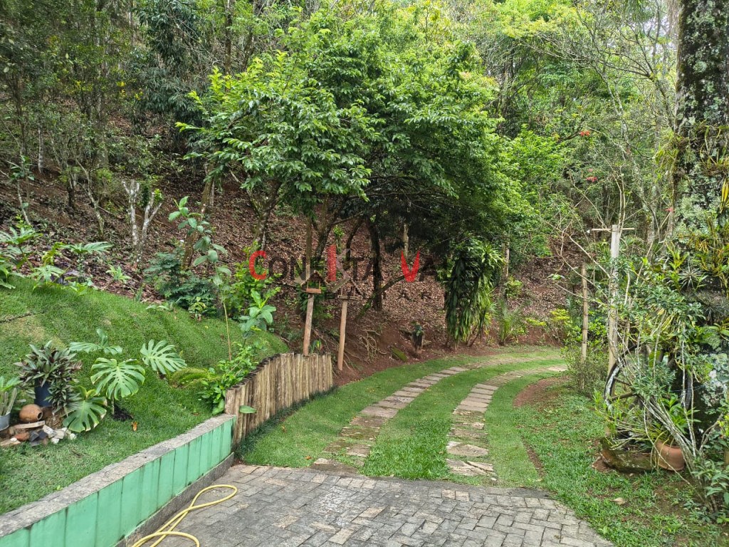 Chácara, 4 quartos, 3 hectares - Foto 9