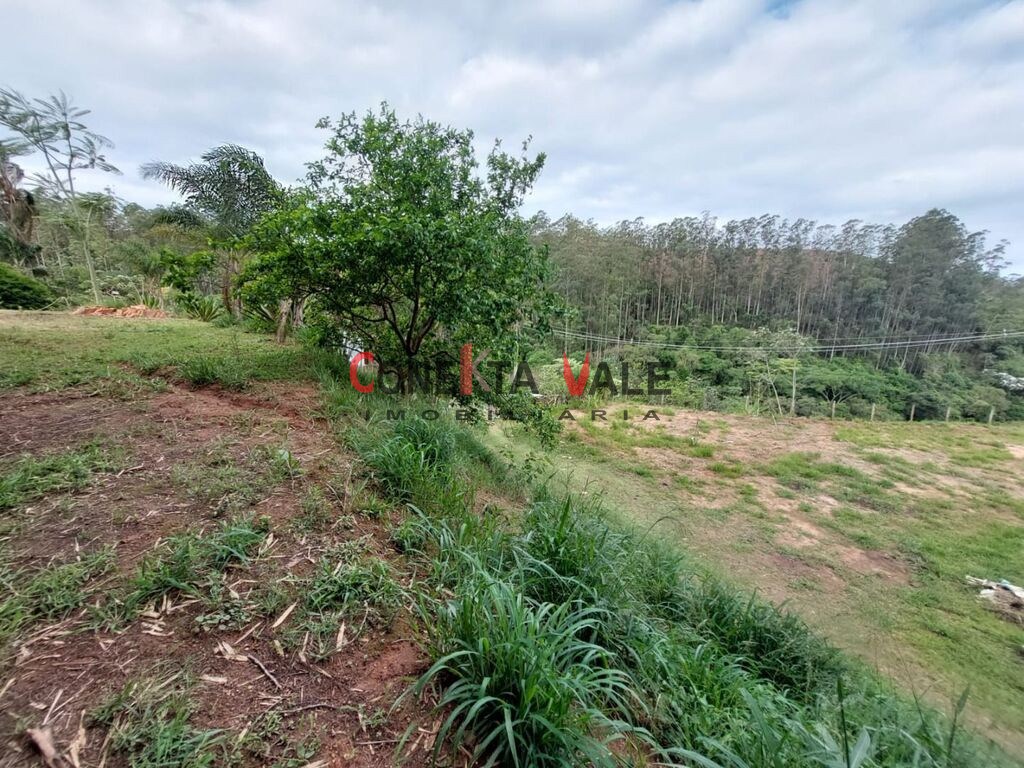 Chácara, 1 quarto, 2 hectares - Foto 1