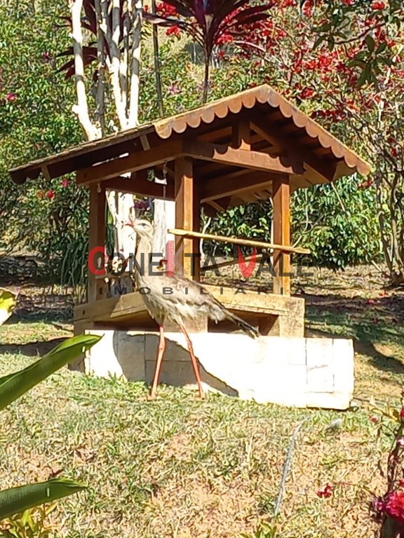 Chácara, 4 quartos, 3 hectares - Foto 28