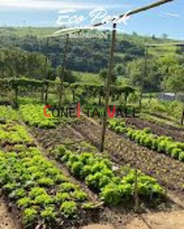Terreno, 504 m² - Foto 17