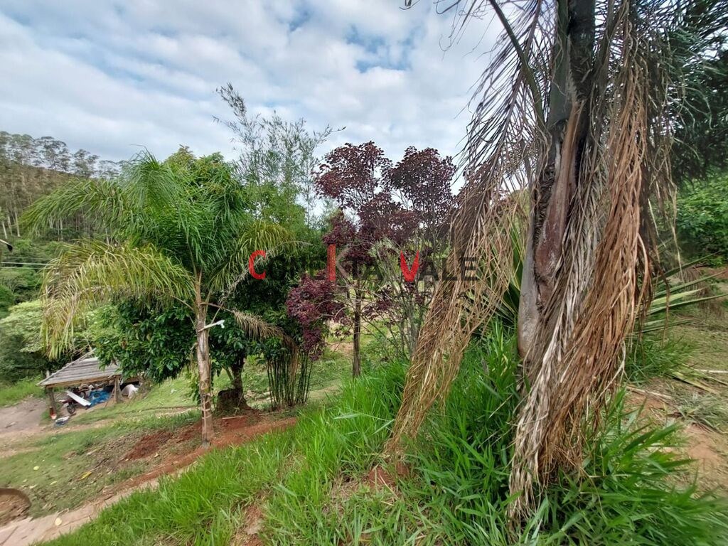 Chácara, 1 quarto, 2 hectares - Foto 7