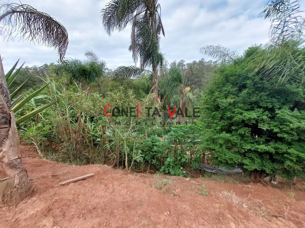 Chácara, 1 quarto, 2 hectares - Foto 18