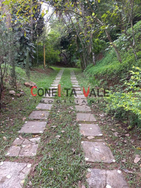 Chácara, 4 quartos, 3 hectares - Foto 8