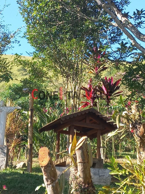 Chácara, 4 quartos, 3 hectares - Foto 30