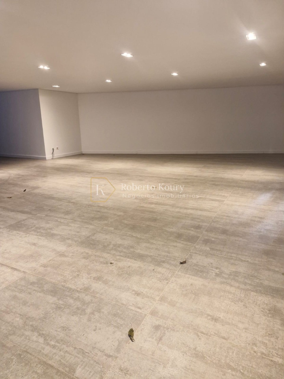 Casa, 4 quartos, 570 m² - Foto 49