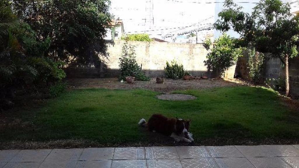 Casa, 3 quartos, 288 m² - Foto 6