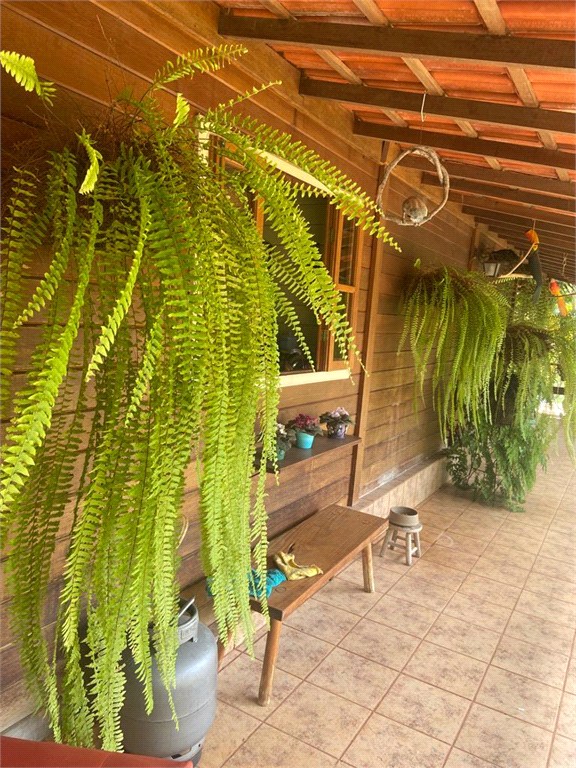 Chácara, 3 quartos, 2 hectares - Foto 43