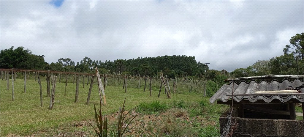 Chácara, 1 quarto, 5 hectares - Foto 17
