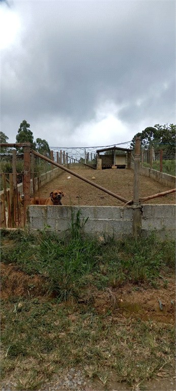 Chácara, 1 quarto, 5 hectares - Foto 10