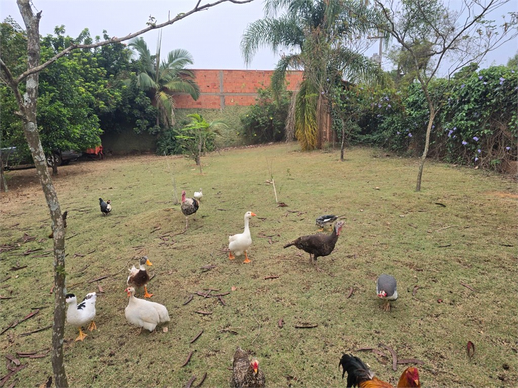 Casa, 2 quartos, 600 m² - Foto 10