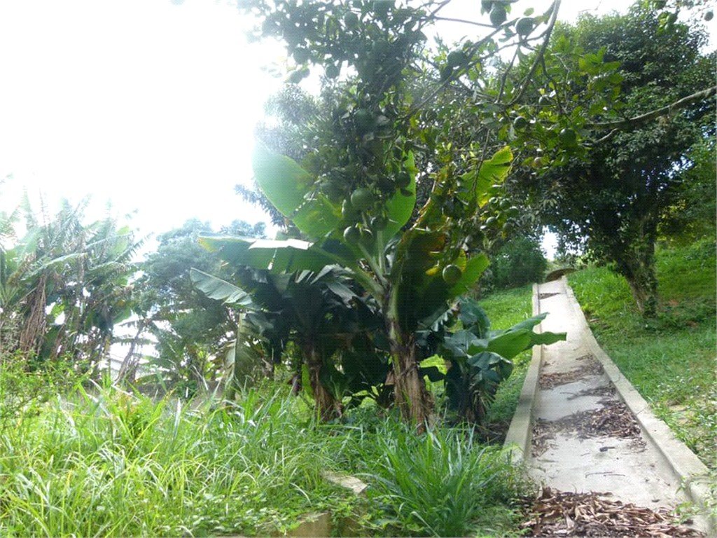 Chácara, 3 quartos, 2600 m² - Foto 28
