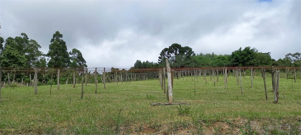 Chácara, 1 quarto, 5 hectares - Foto 15
