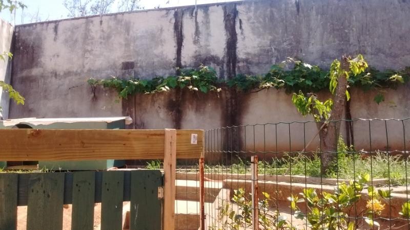 Casa, 3 quartos, 256 m² - Foto 24