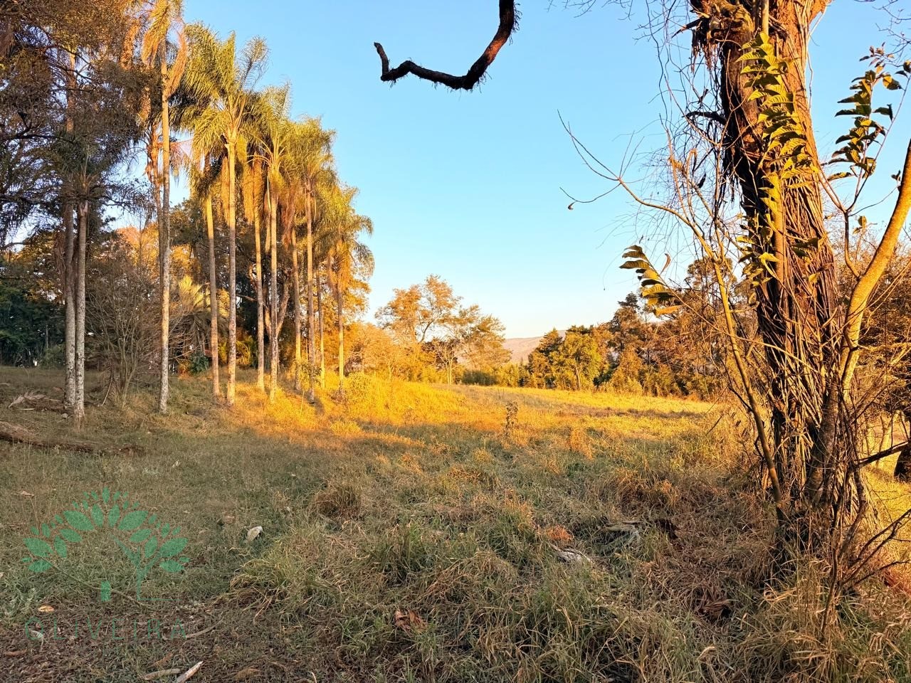 Loteamento e Condomínio, 3 hectares - Foto 1