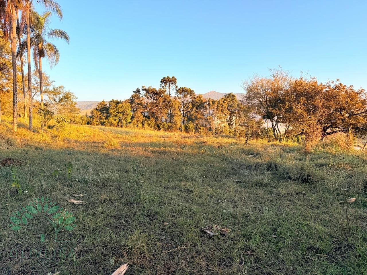 Loteamento e Condomínio, 3 hectares - Foto 6