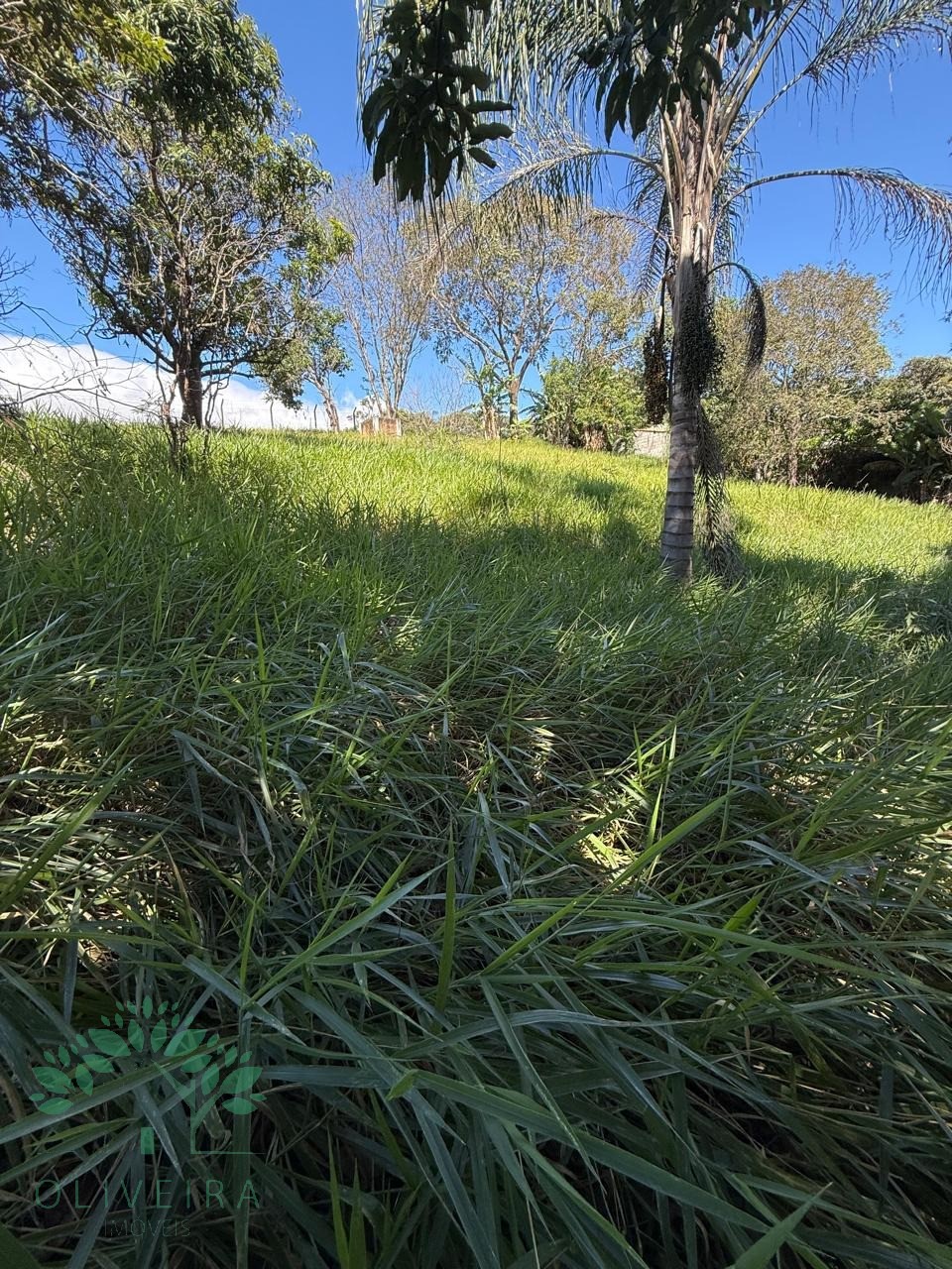 Loteamento e Condomínio, 5000 m² - Foto 4