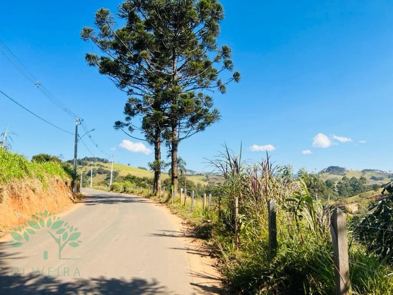 Terreno, 1500 m² - Foto 4