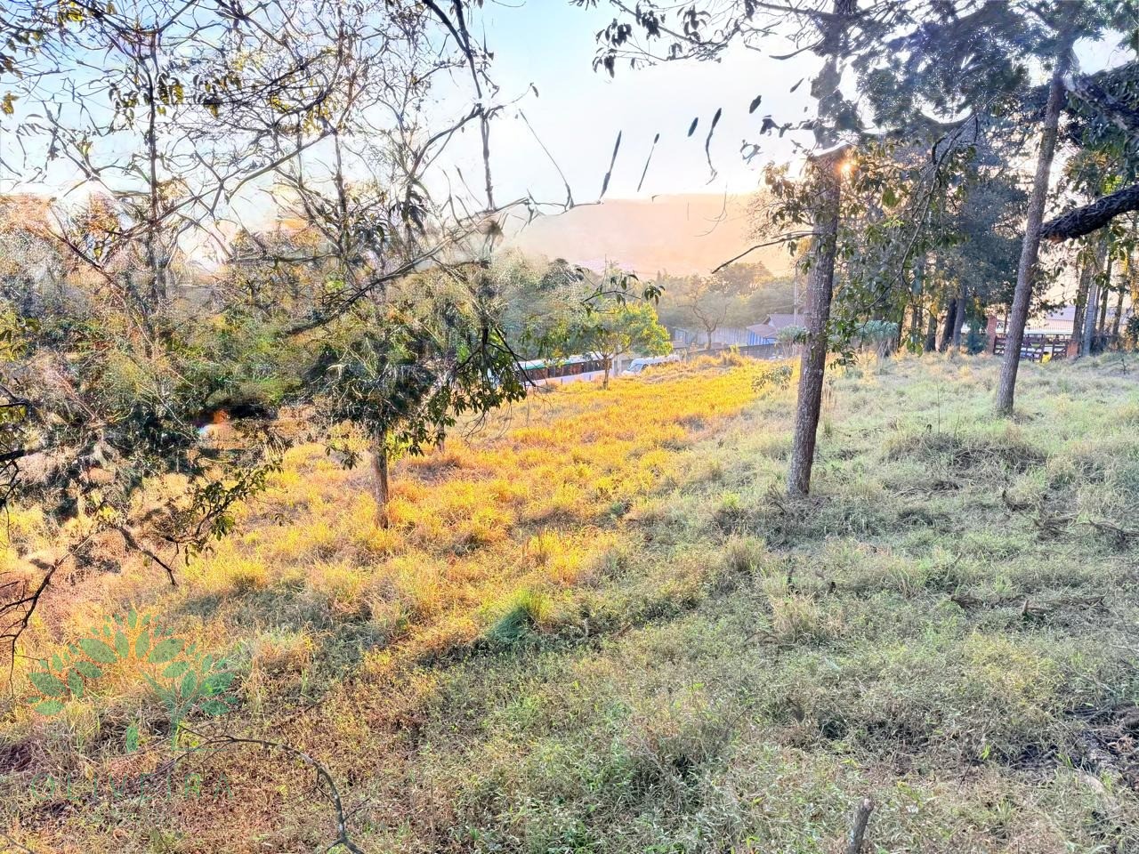 Loteamento e Condomínio, 3 hectares - Foto 3