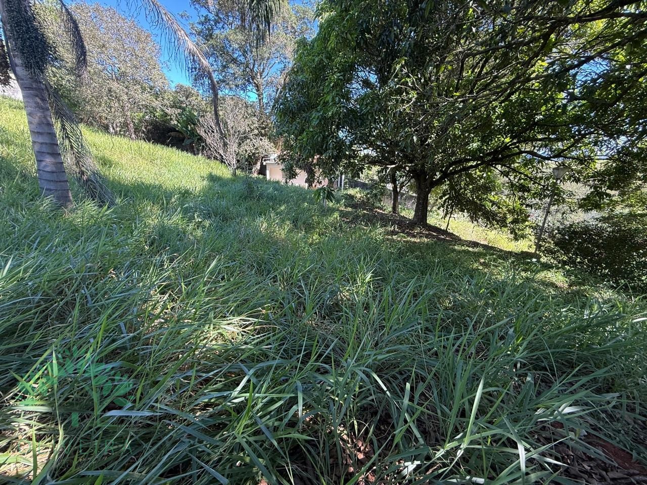Loteamento e Condomínio, 5000 m² - Foto 2