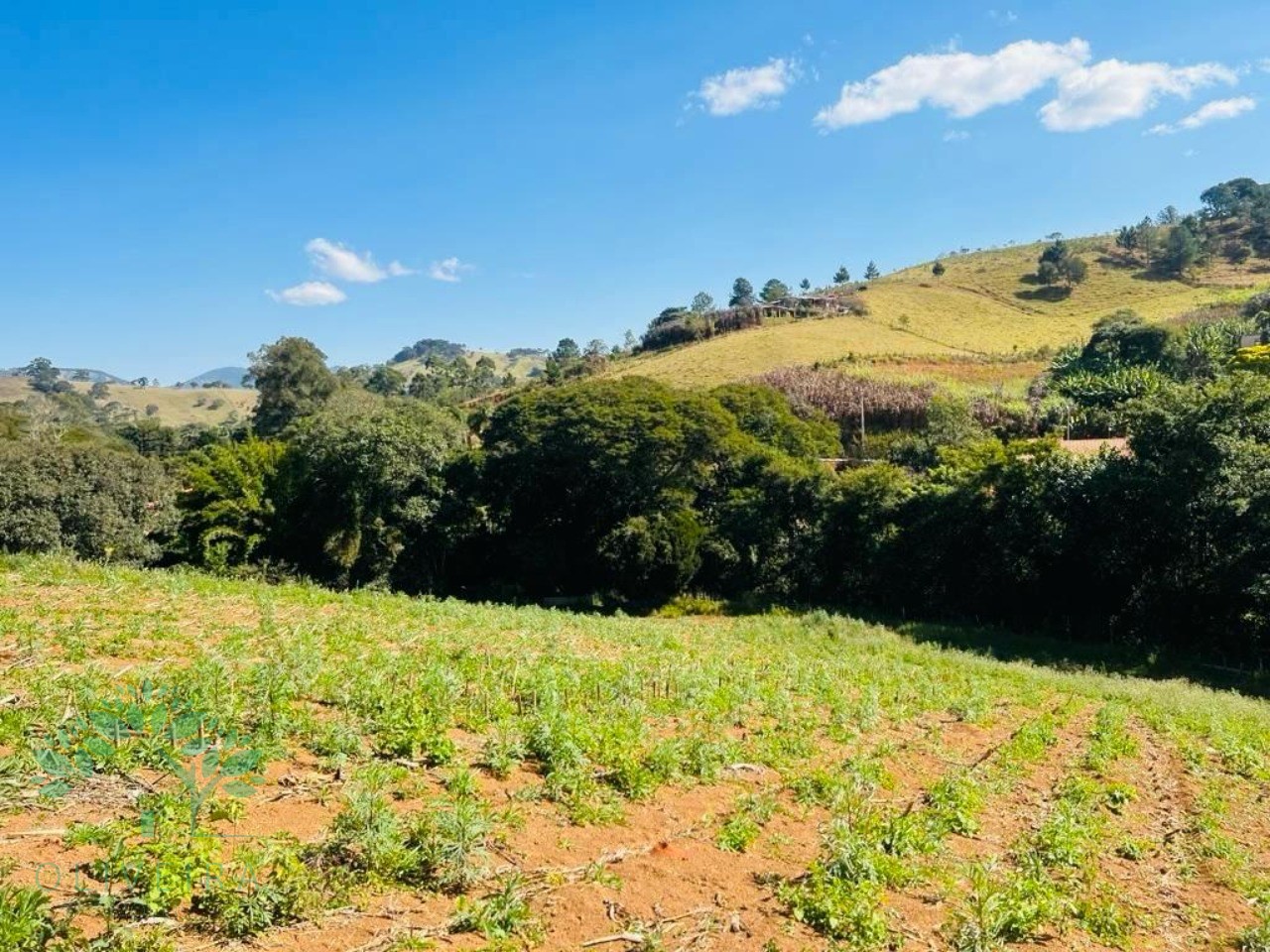 Terreno, 1500 m² - Foto 7