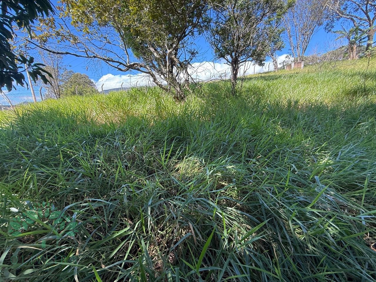 Loteamento e Condomínio, 5000 m² - Foto 3