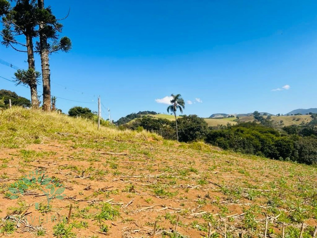 Terreno, 1500 m² - Foto 6