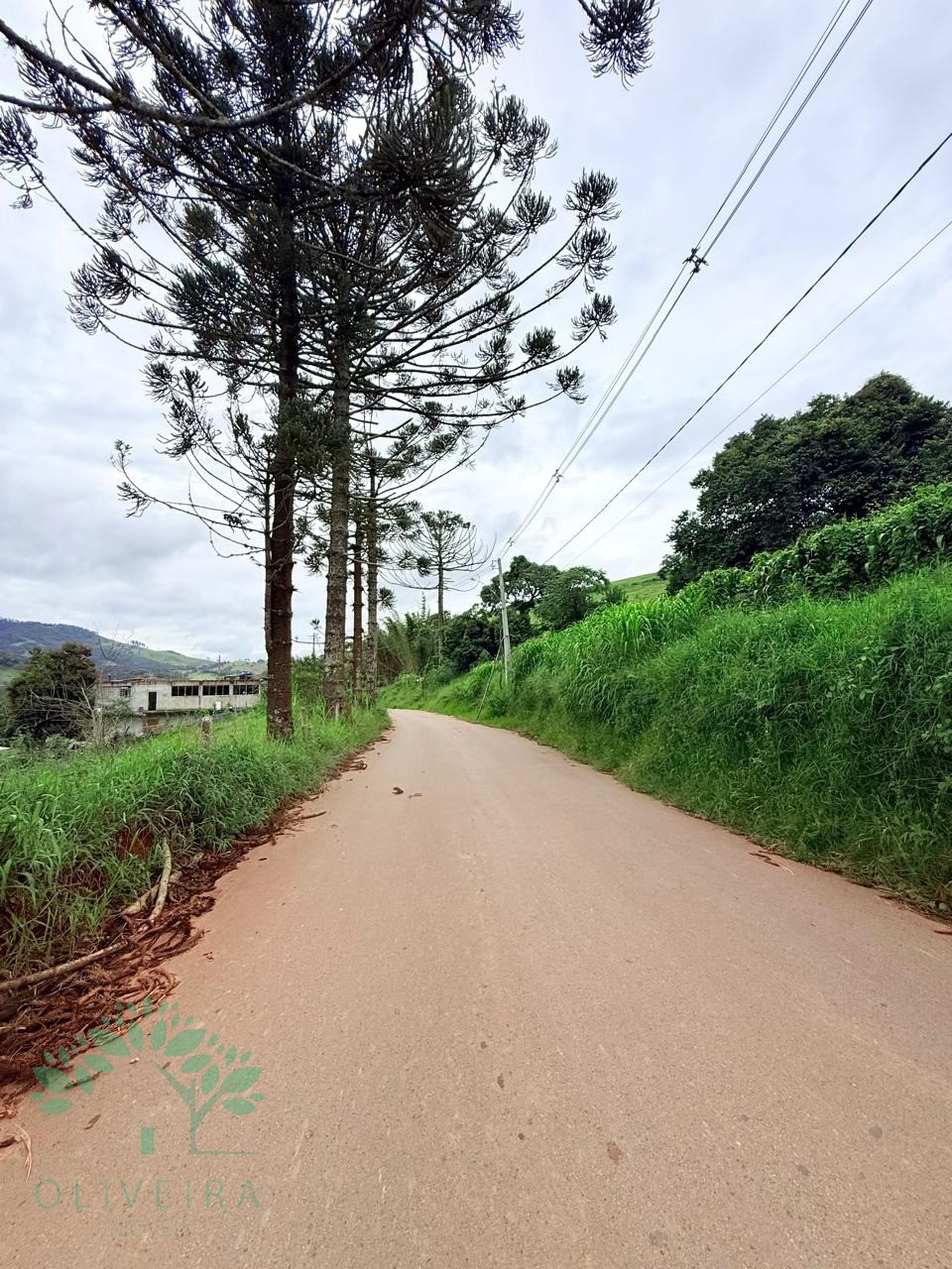 Terreno, 1500 m² - Foto 2