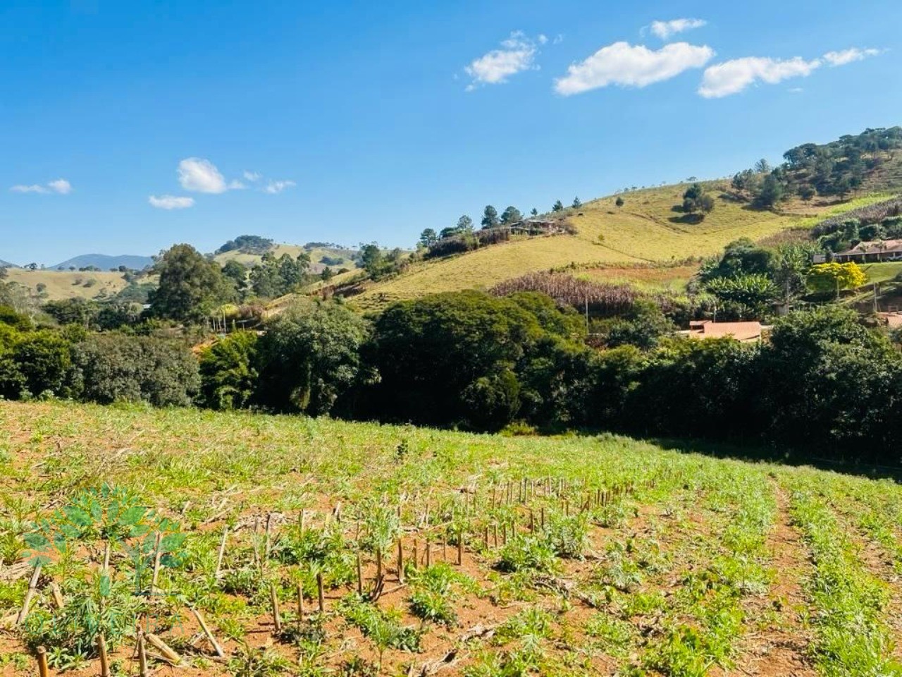 Terreno, 1500 m² - Foto 3