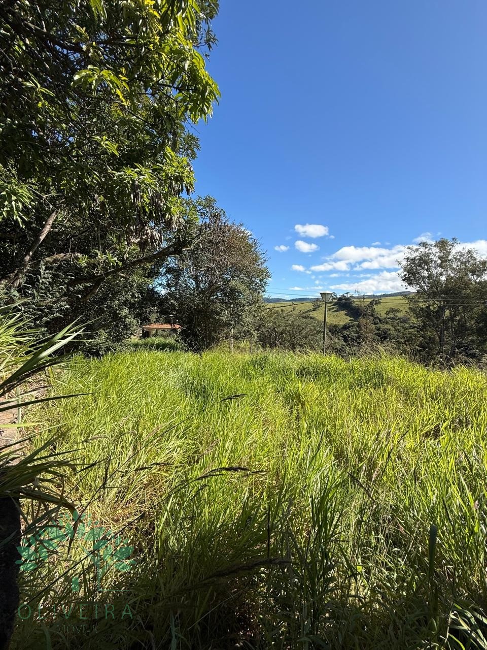 Loteamento e Condomínio, 5000 m² - Foto 1