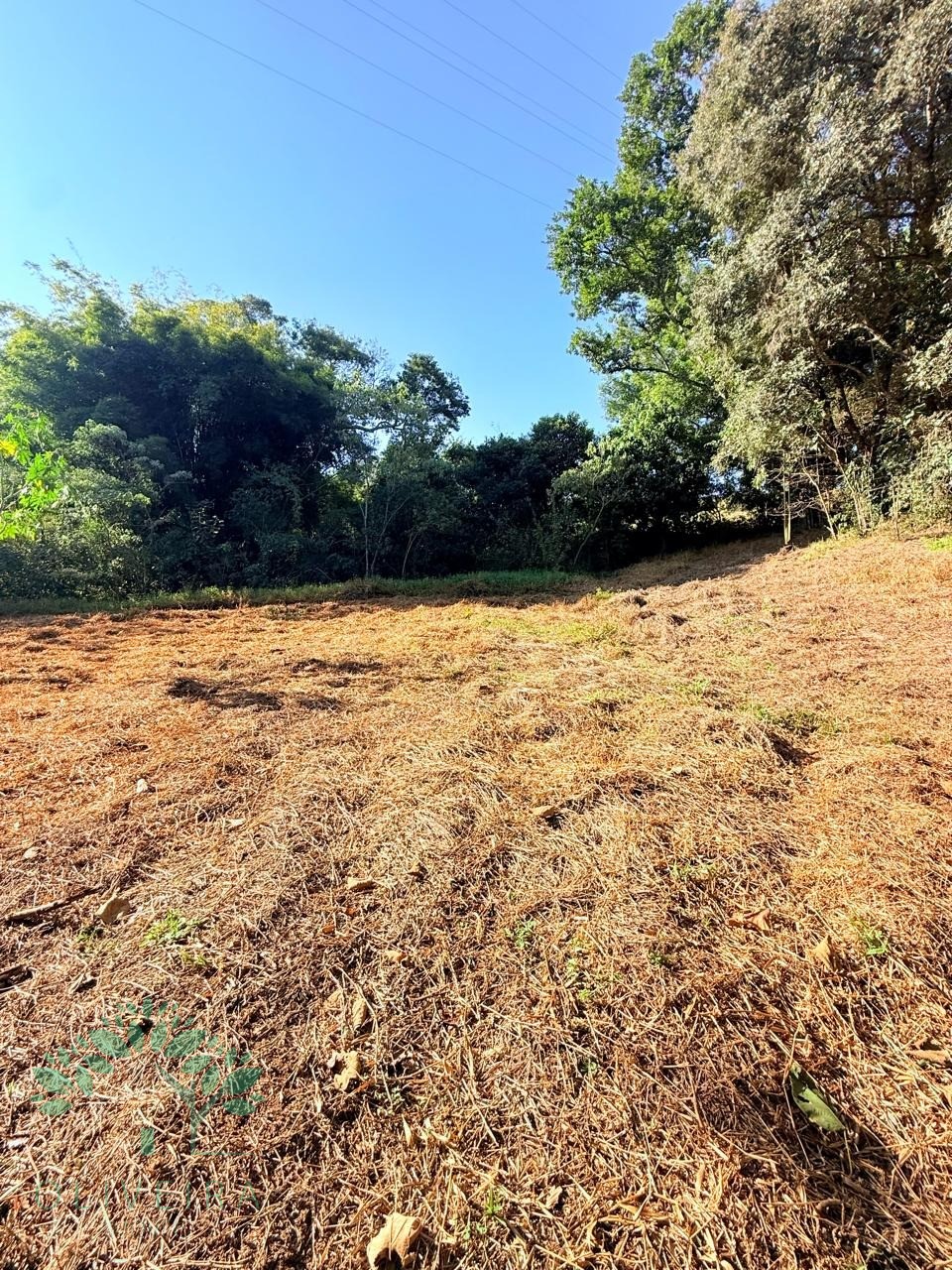 Chacara residencial em extrema - mg, ponte nova